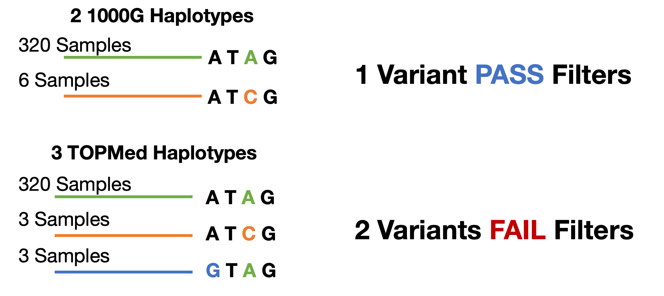 Haplotypes